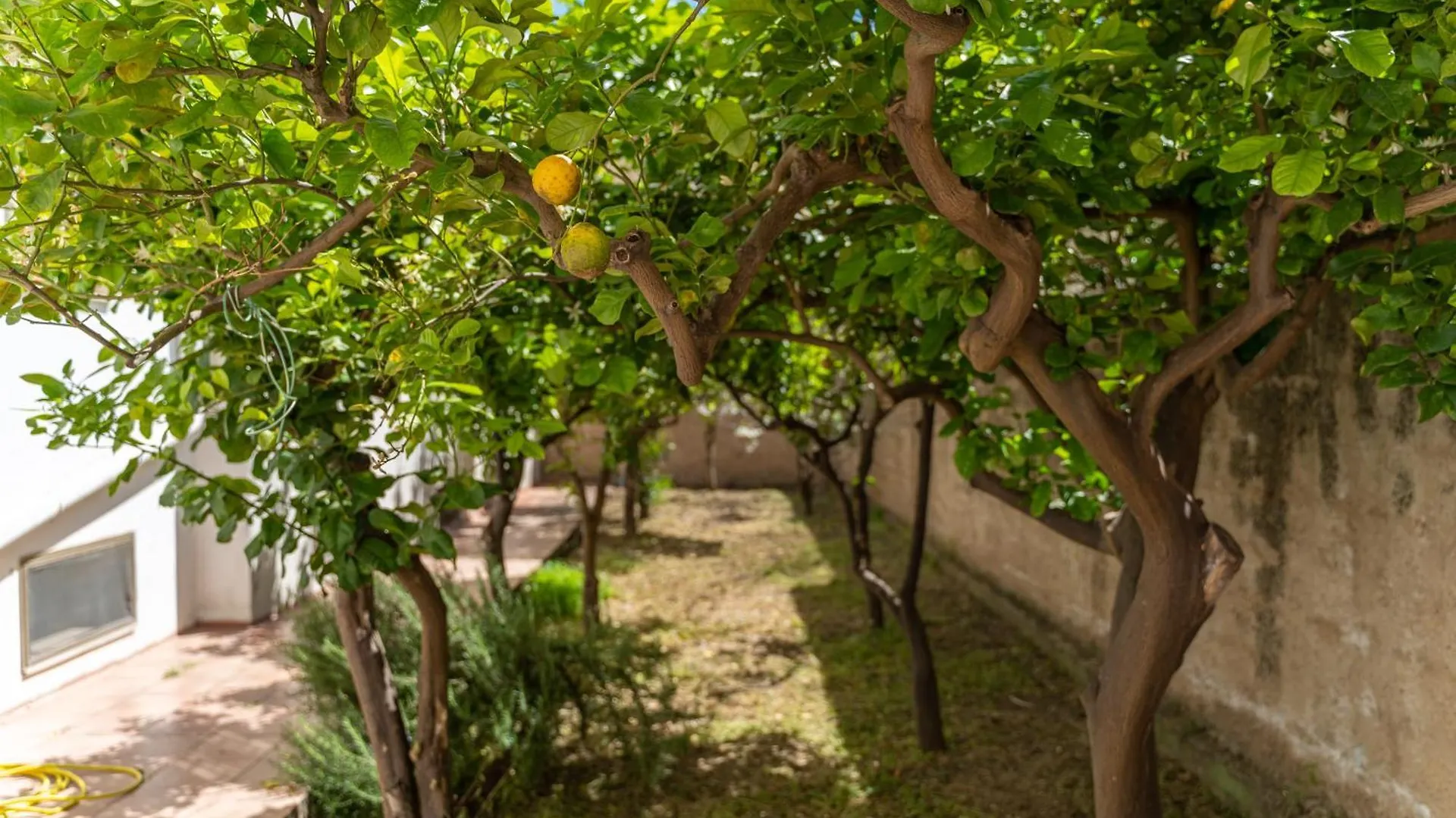 Apartment Casa Palmavera Alghero